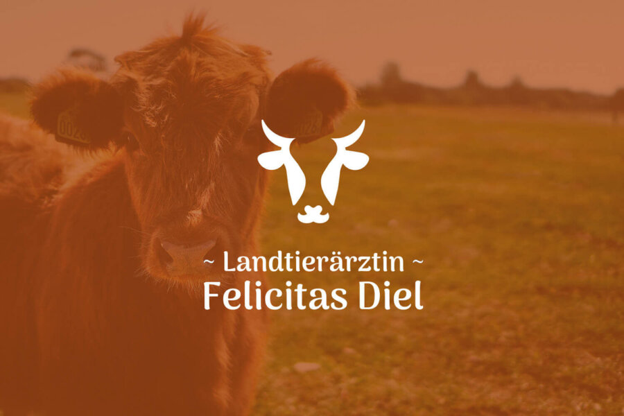 Landtierärztin Diel