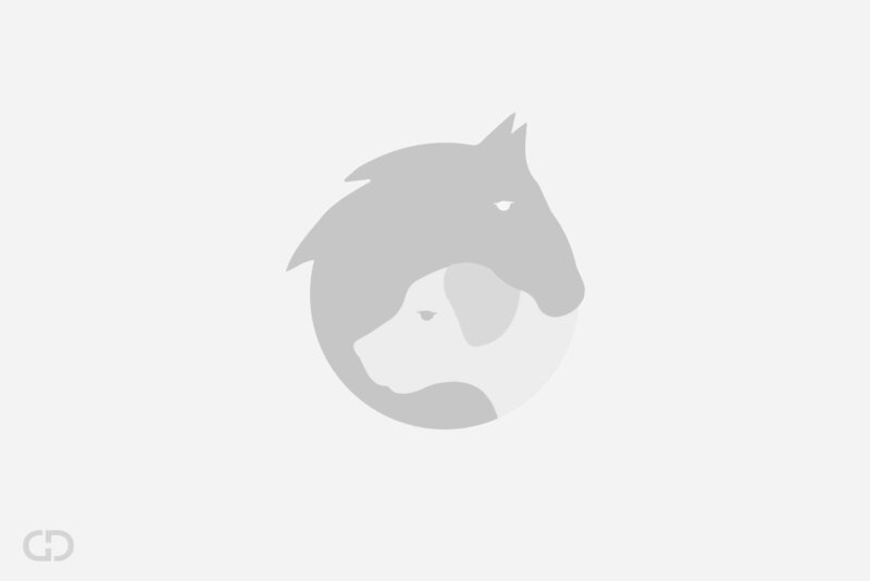 Goldwerk-Menzer-Logo-Symbol-grau